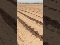 Faixa de irrigação por gotejamento