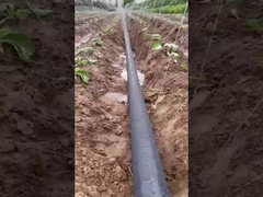 Tape de pulverização